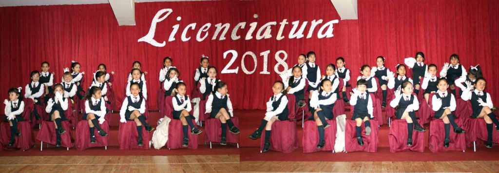 Licenciatura Cuarto Medio 2018